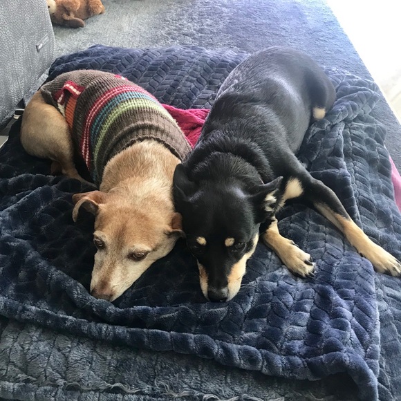 Meet your Posher, Susan - Picture 2 of 3